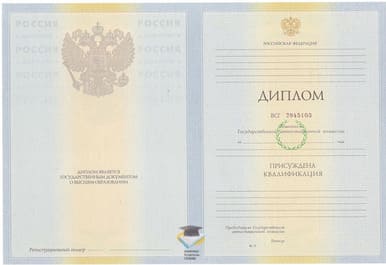 Диплом ЛГПУ 2010-2011 годов